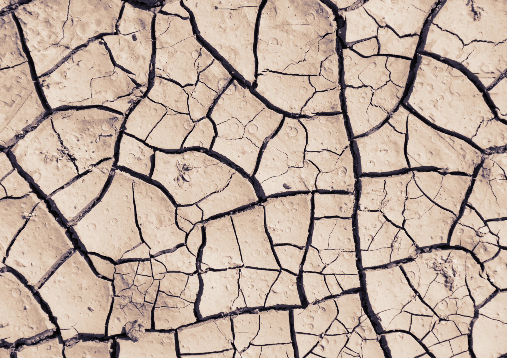 Dry Scalp Mistakes 